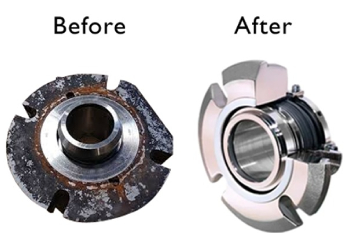 Mechanical Seal Replacement